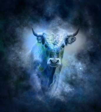 金牛座爱情特质