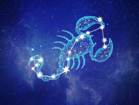 天蠍男射手女愛情