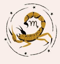 天蠍男處女女配對