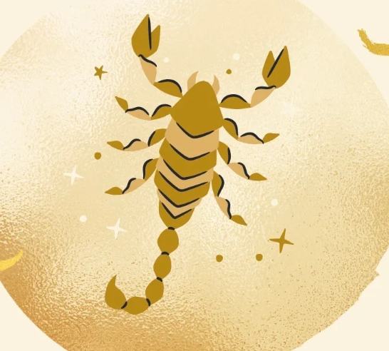 天蠍女處女男 配對