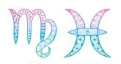 雙魚處女配對