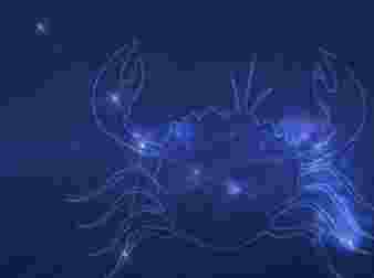 星座 溝通 技巧