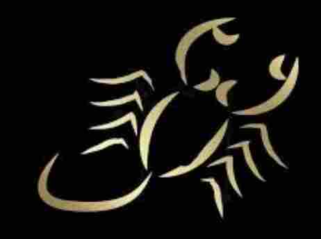 天蠍男處女女愛情