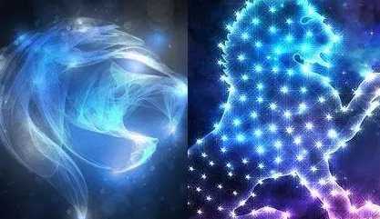 獅子男戀愛行為