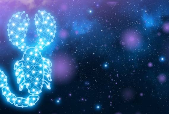 天蝎座已读不回