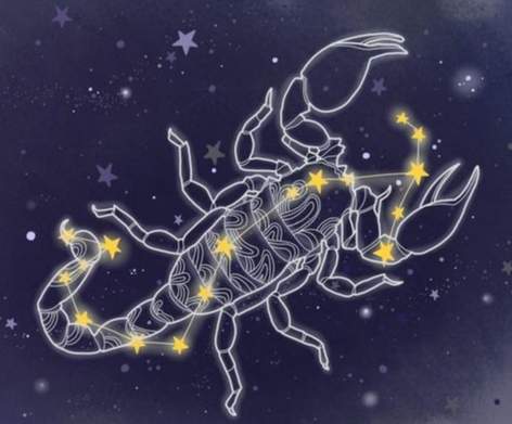 星座兼容性分析