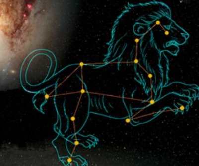 獅子男魔羯女 配對