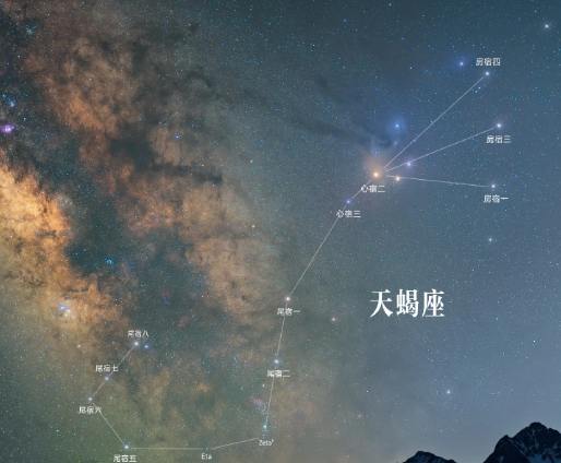 天蠍座男生愛情