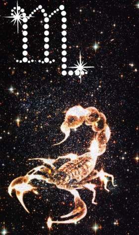 天蠍座女生攻略