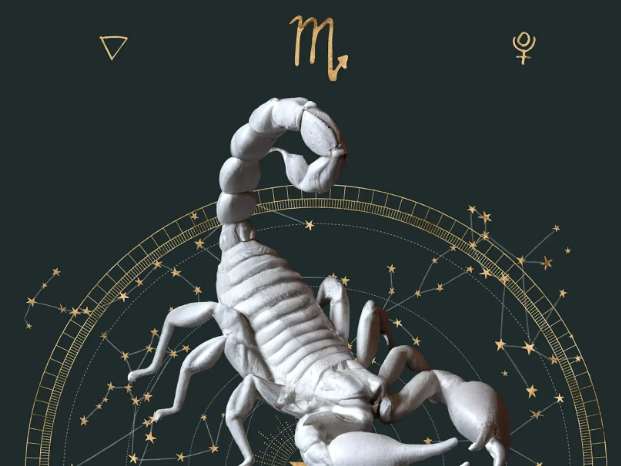 天蠍男暗戀表現