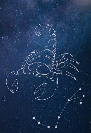 天蝎座已读不回