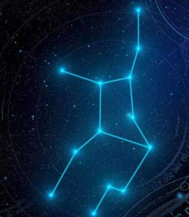 處女座喜歡什麼