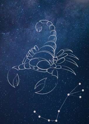 天蠍座摩羯座關係