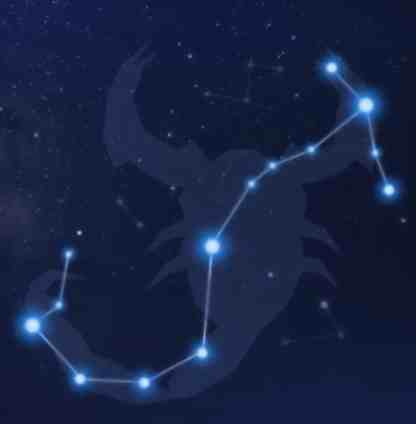 天蠍座摩羯座關係