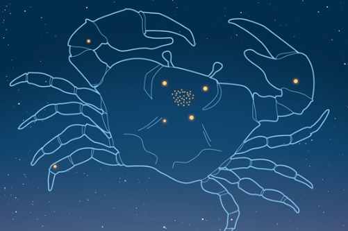 巨蟹女愛情觀 巨蟹女愛情觀