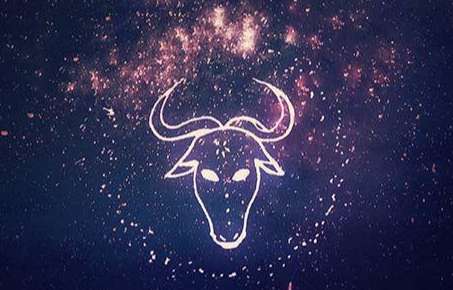 如何看懂金牛女暗示