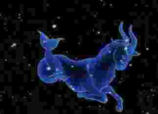 魔羯女約會信號