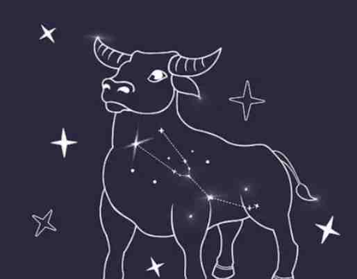 金牛座朋友跡象