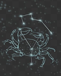 巨蟹女喜歡一個人的表現