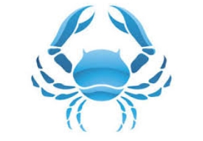 巨蟹女愛情信號