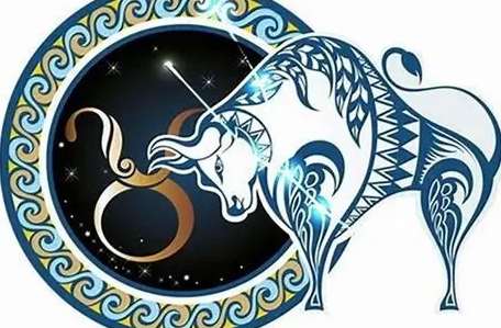 如何看懂金牛女暗示