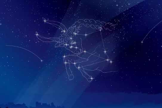 金牛座女生愛情