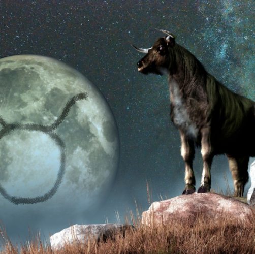 如何知道金牛女對你有好感 如何知道金牛女對你有好感