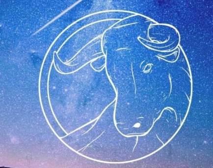 金牛女不回訊息