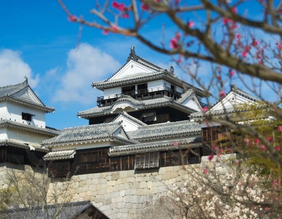松山一日遊行程