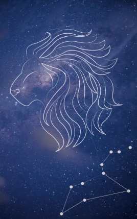 獅子女暗戀表現