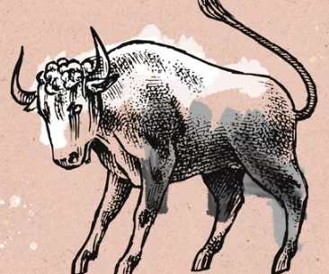 金牛座女生戀愛信號