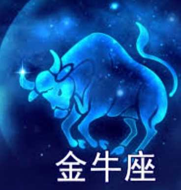 追求金牛女技巧