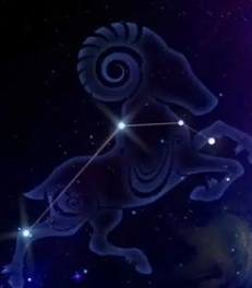 牡羊女優點缺點