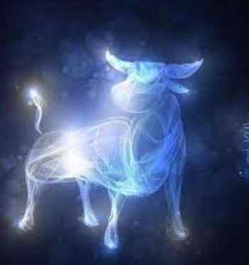 金牛女不回訊息