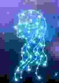 處女女喜歡一個人的行為