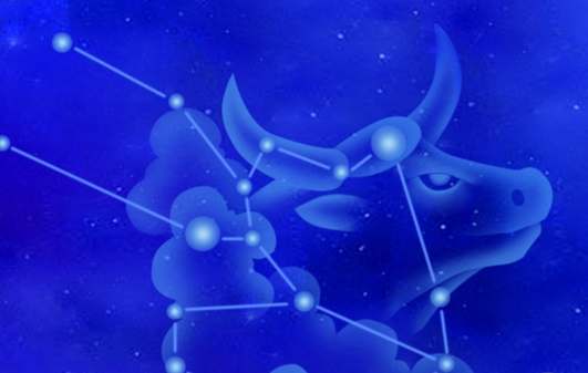 金牛女友情表現