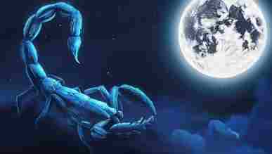 天蠍女喜歡一個人的行為