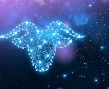 金牛女友情表現