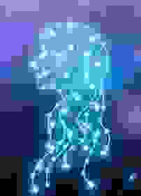 處女座女生理想型