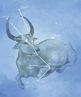 金牛女暗戀表現