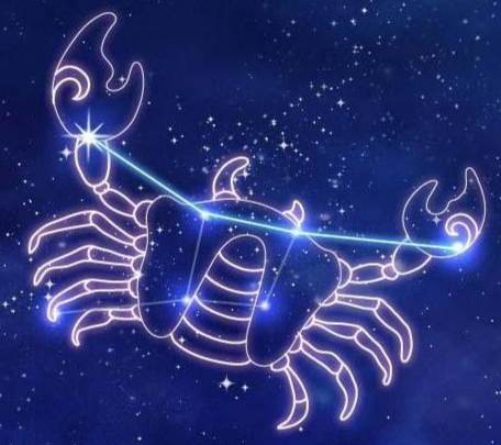 巨蟹女愛情信號