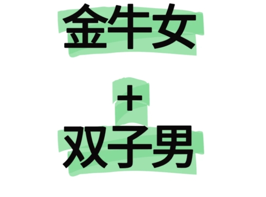 雙子男金牛女配對