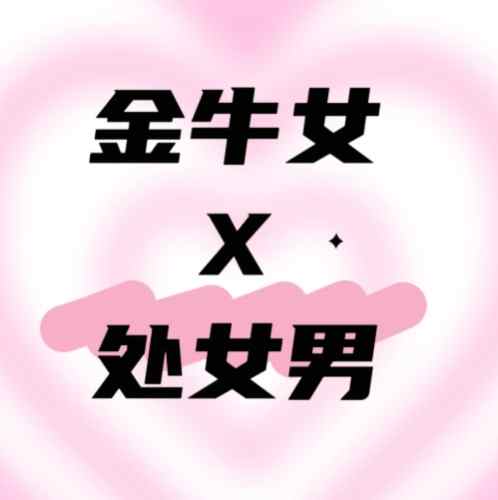 處女男金牛女配對