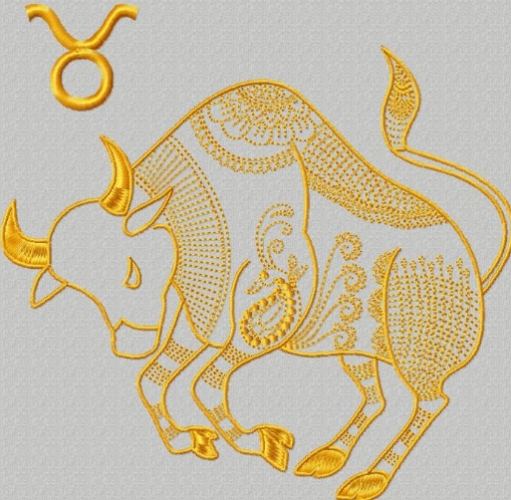 金牛女喜歡一個人的表現