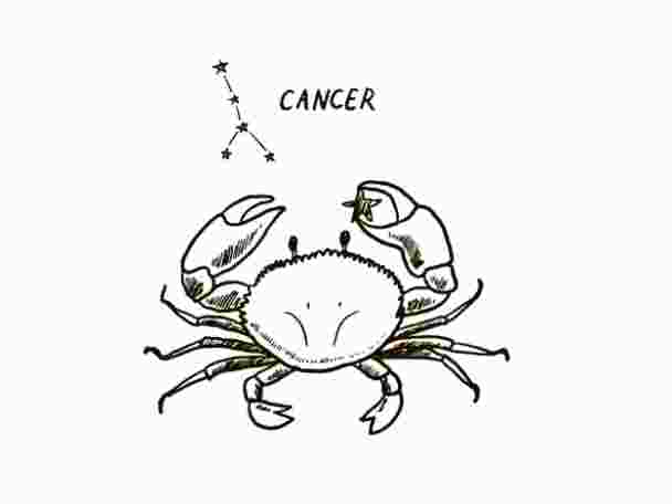 巨蟹座男生双子座女生配对