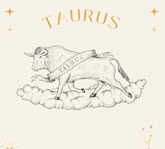 射手男金牛女愛情