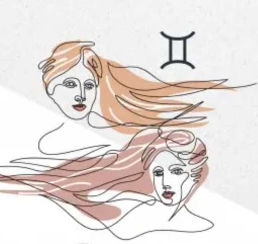 雙子男喜歡一個人的舉動