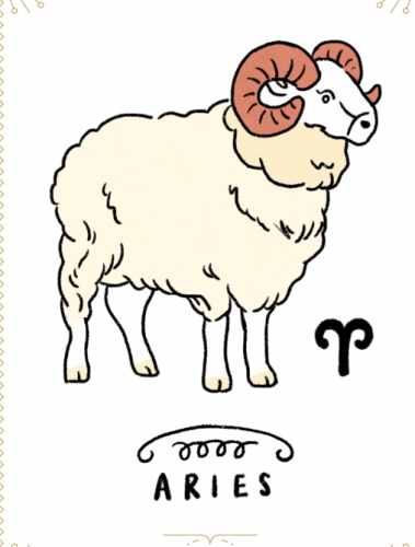 牡羊男喜歡的類型