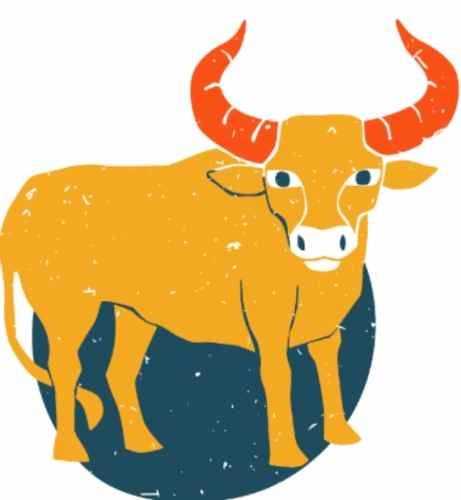 金牛男金牛女 配对