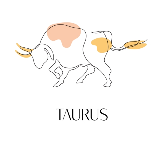 火星金牛座男性